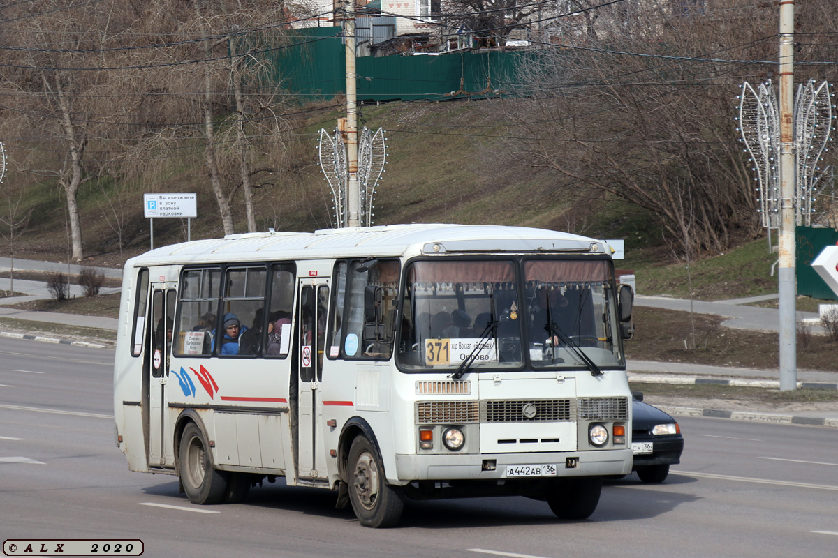 Воронежская область, ПАЗ-4234-05 № А 442 АВ 136