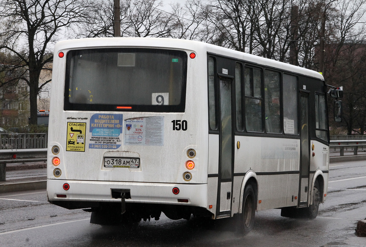 Ленинградская область, ПАЗ-320412-05 "Вектор" № 150