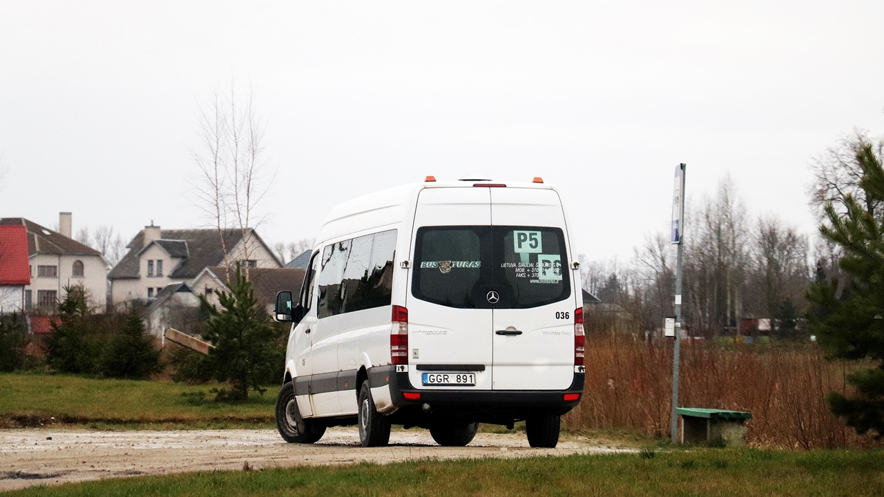 Литва, Mercedes-Benz Sprinter W906 315CDI № 036