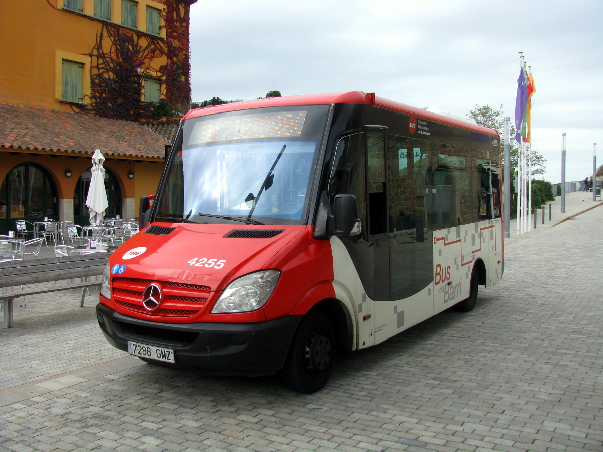 Испания, Indcar Cytios № 4255