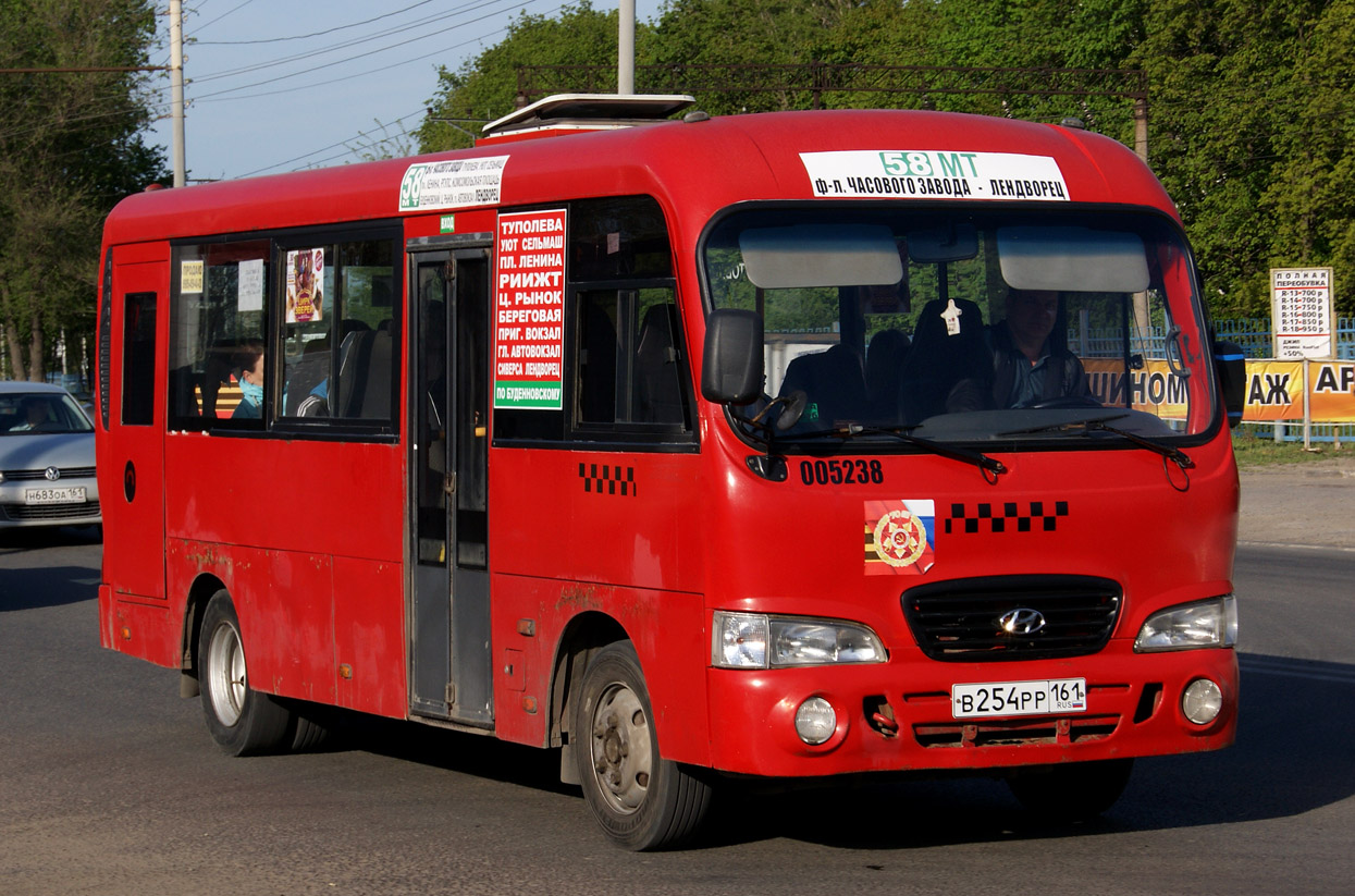 Ростовская область, Hyundai County LWB C11 (ТагАЗ) № 091