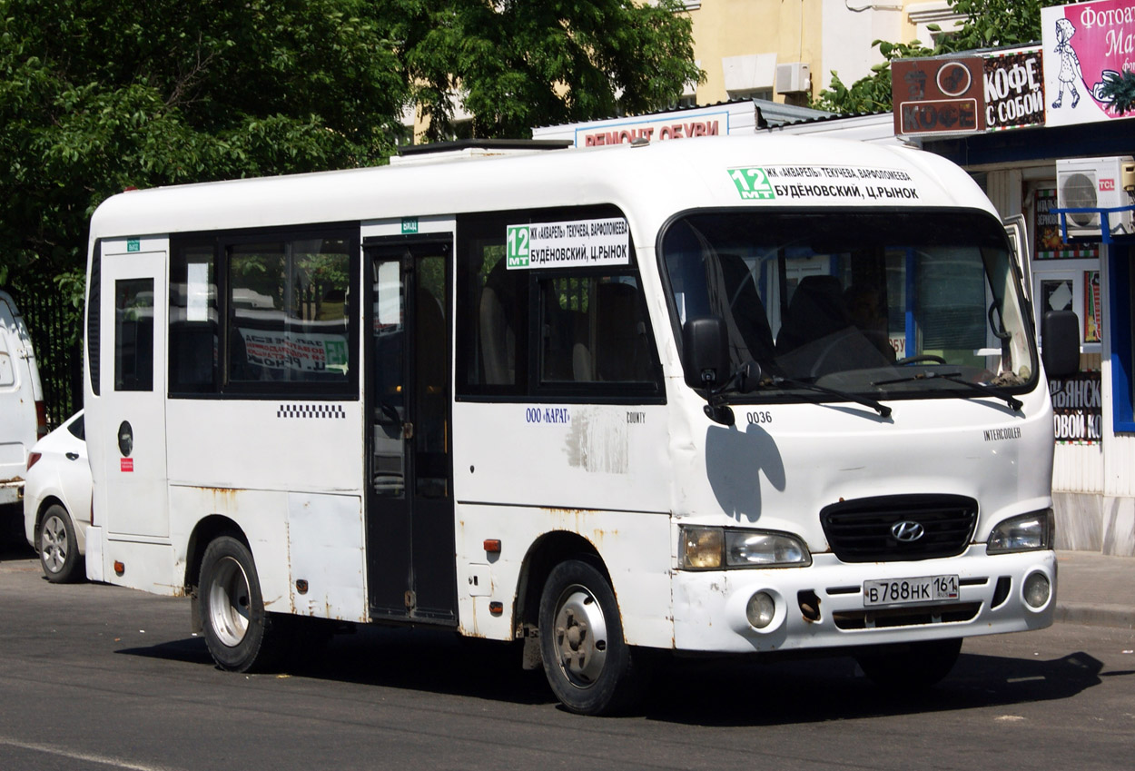 Ростовская область, Hyundai County SWB C08 (ТагАЗ) № 036