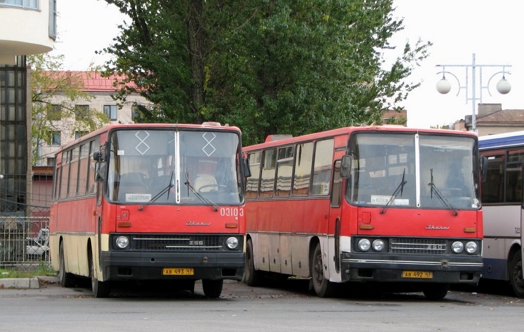 Ленинградская область, Ikarus 256.74 № АВ 493 47