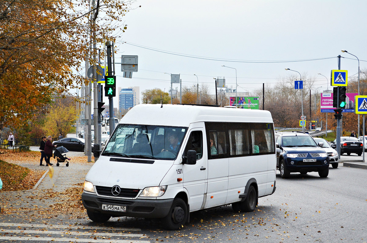 Курганская область, Луидор-223203 (MB Sprinter Classic) № 1501