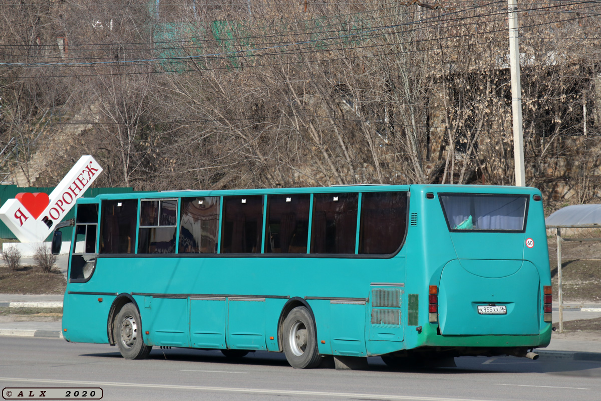 Воронежская область, МАРЗ-5277-01 № К 955 ХХ 36 — Фото — Автобусный  транспорт