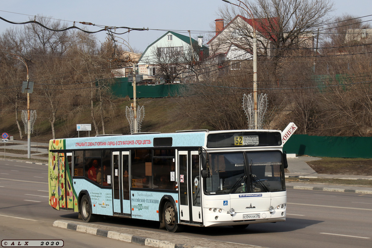 Воронежская область, МАЗ-103.469 № С 044 ХК 36