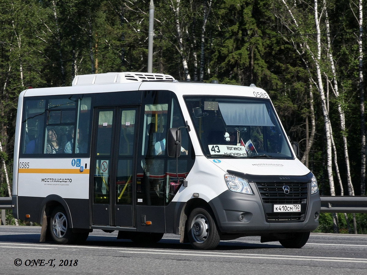 Московская область, Луидор-2250DS (ГАЗ Next) № 0585