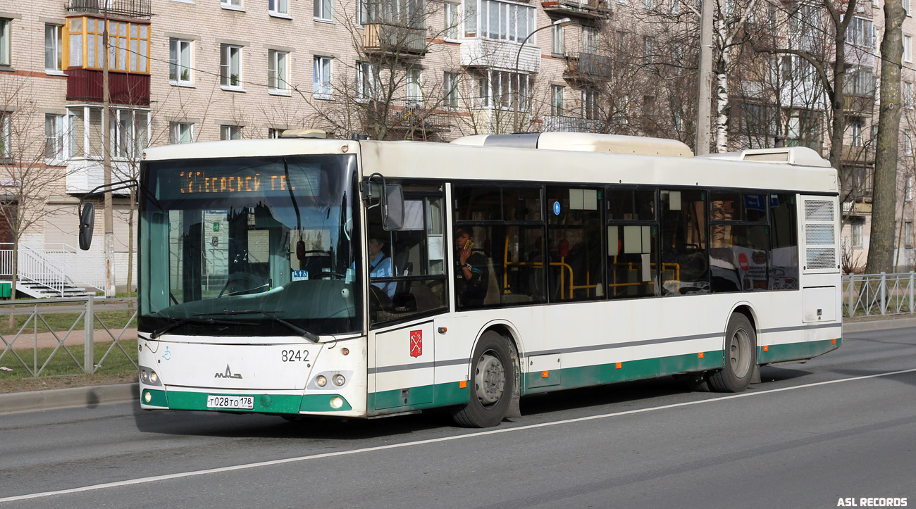 Санкт-Петербург, МАЗ-203.085 № 8242