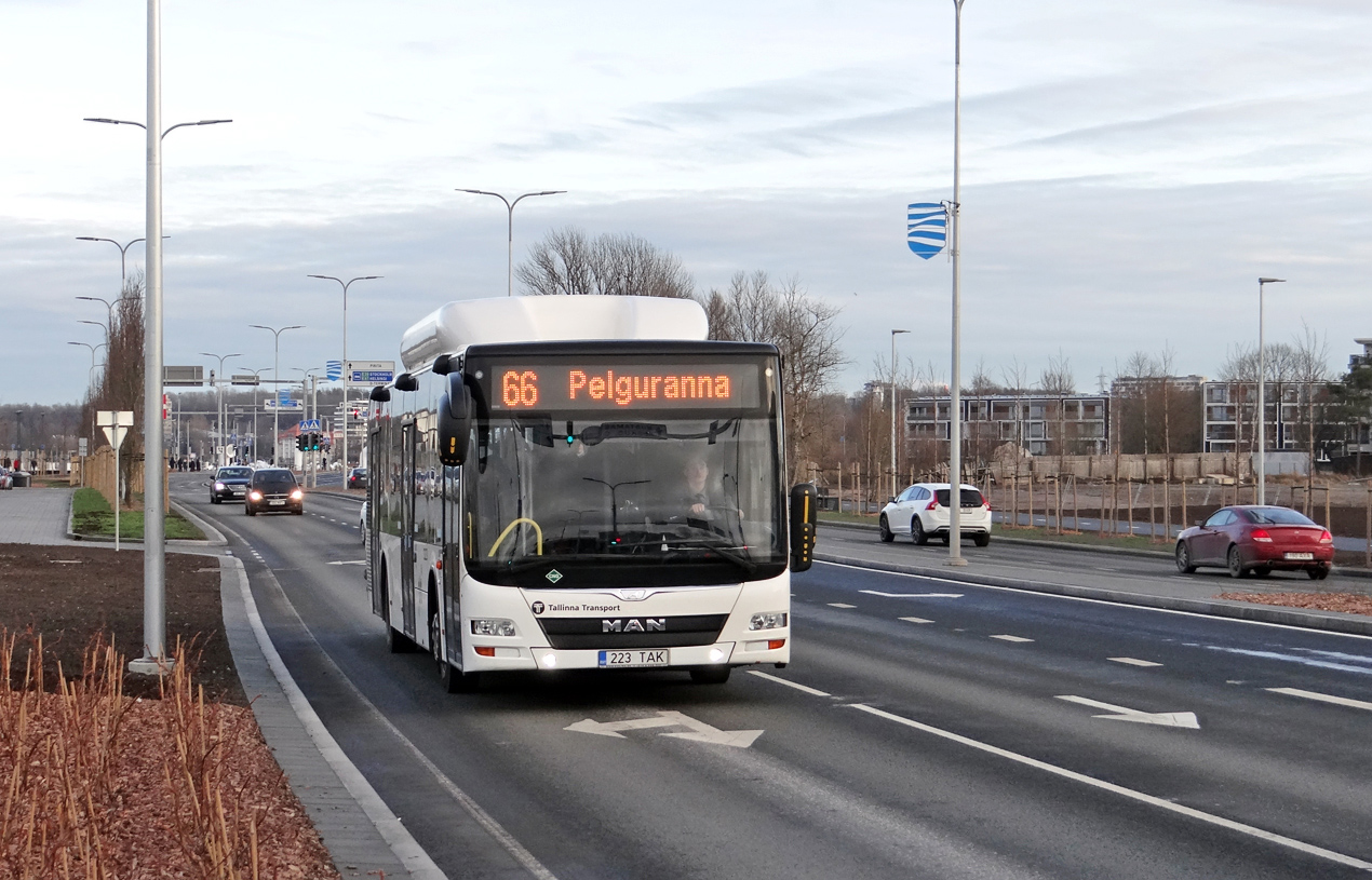 Эстония, MAN A21 Lion's City NL313 CNG № 3223