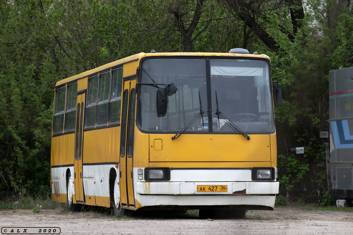 Воронежская область, Ikarus 260.27 № АК 427 36