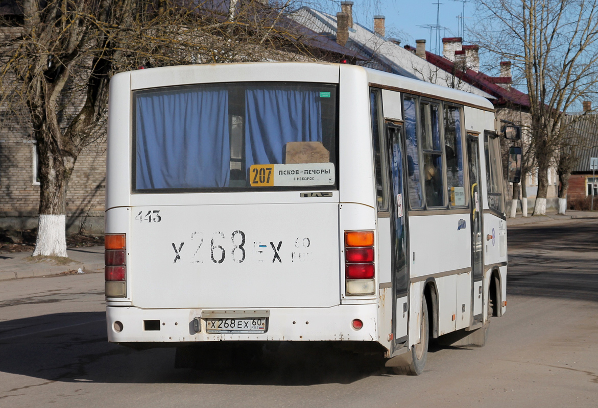 Псковская область, ПАЗ-320402-05 № 443