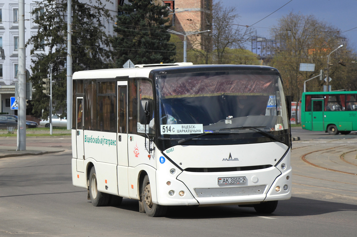 Витебская область, МАЗ-241.000 № 40487