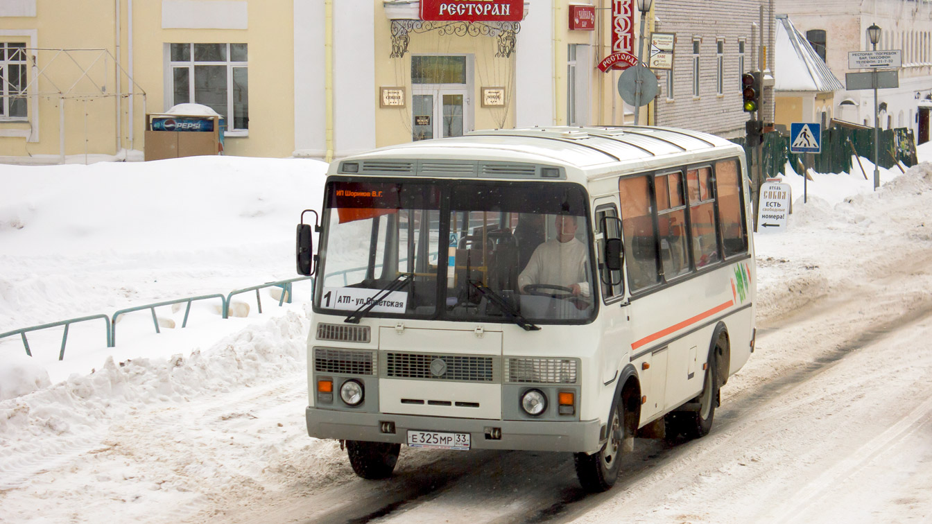 Владимирская область, ПАЗ-32054 № Е 325 МР 33