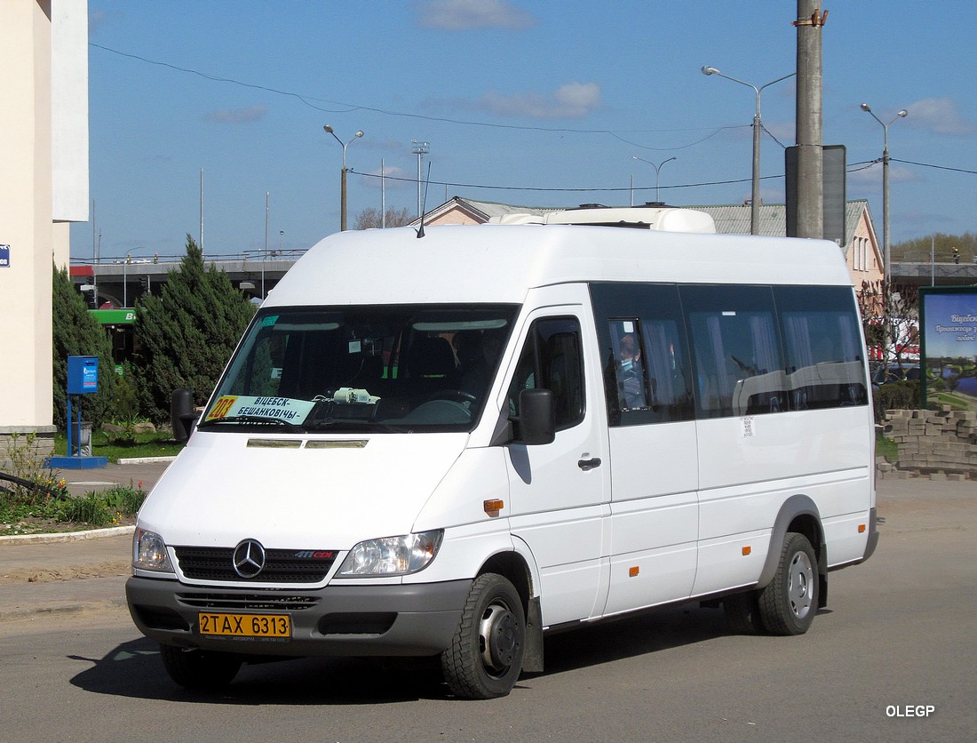 Витебская область, Луидор-223212 (MB Sprinter Classic) № 2 ТАХ 6313