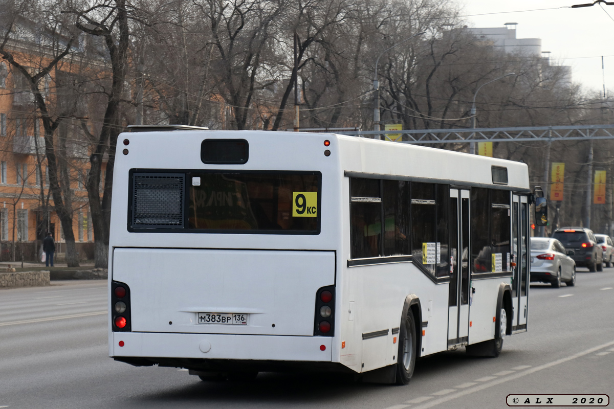 Воронежская область, МАЗ-103.585 № М 383 ВР 136