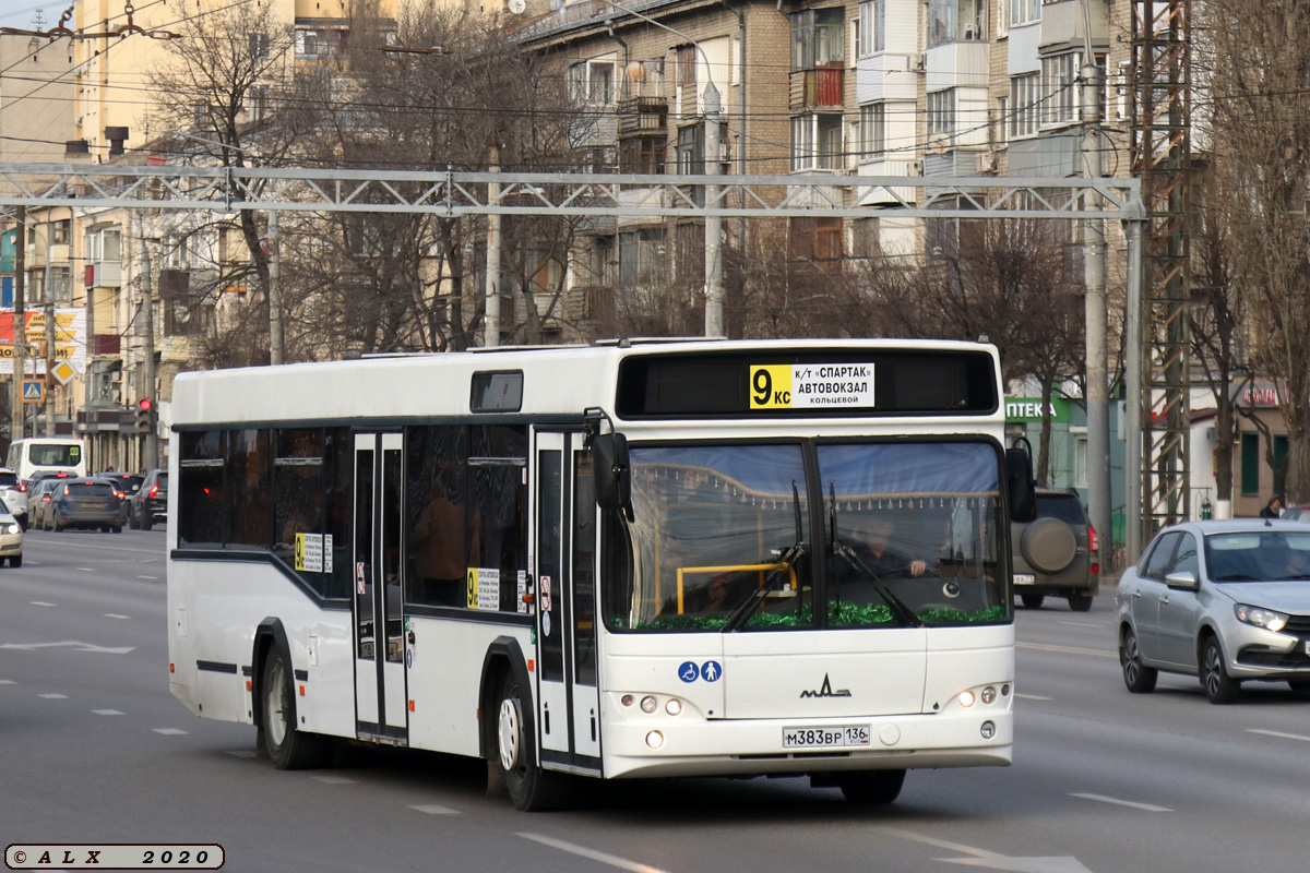 Воронежская область, МАЗ-103.585 № М 383 ВР 136