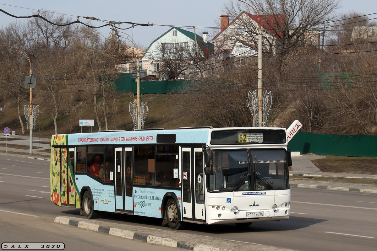 Воронежская область, МАЗ-103.469 № У 813 ХК 36