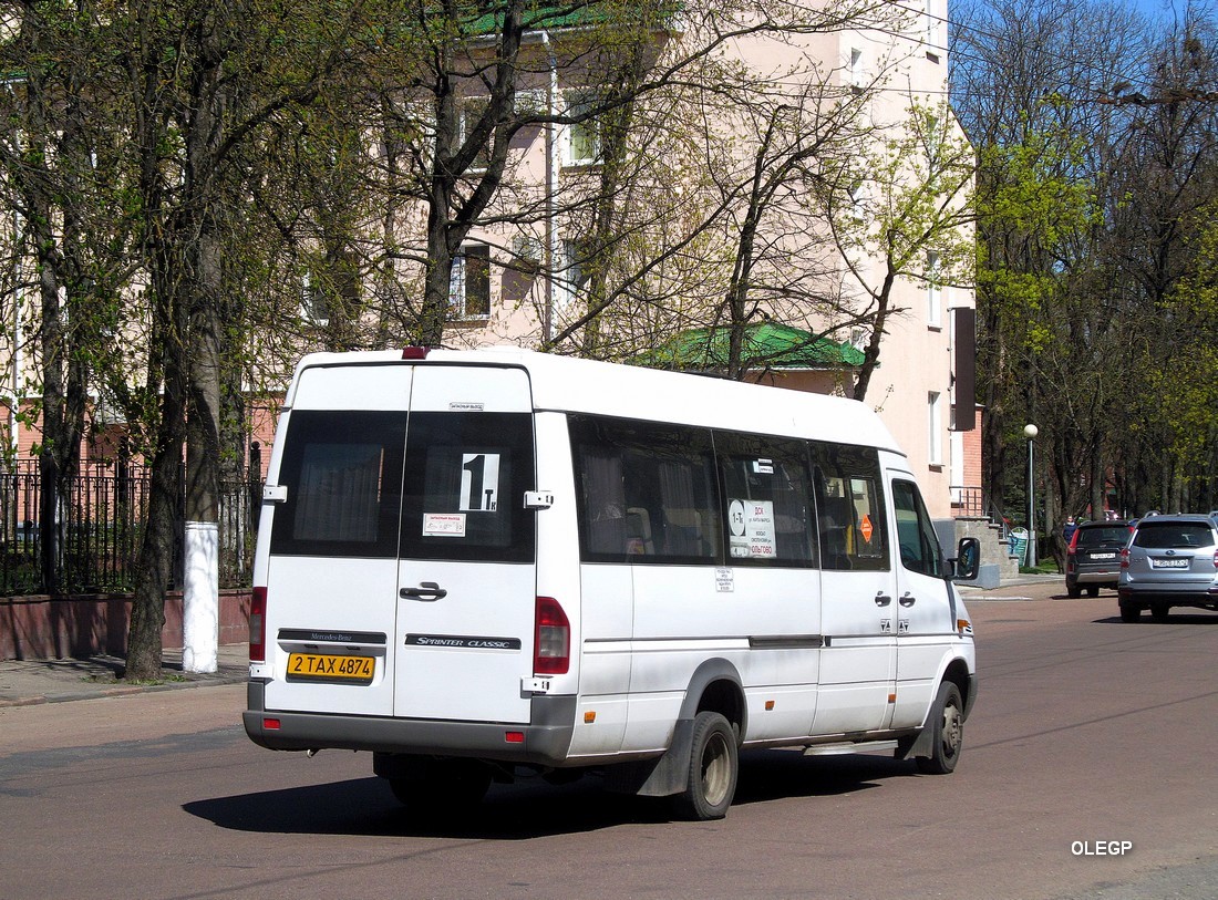 Витебская область, Луидор-223203 (MB Sprinter Classic) № 2 ТАХ 4874