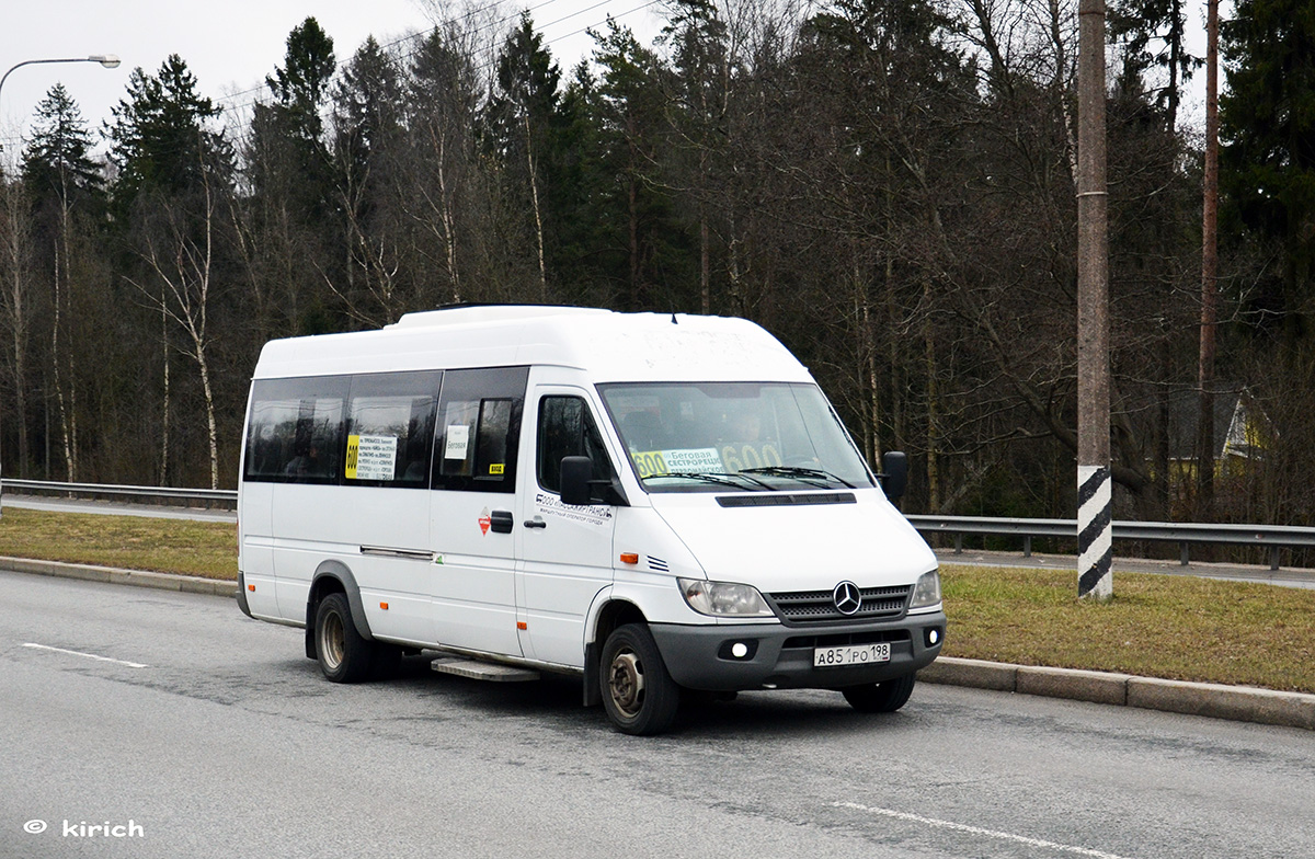 Saint Petersburg, Luidor-223237 (MB Sprinter Classic) # А 851 РО 198