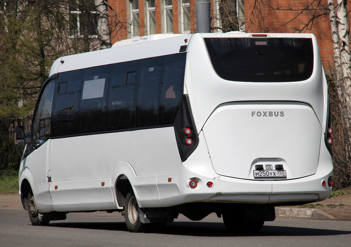 Ярославская область, FoxBus 62412-01 № 417