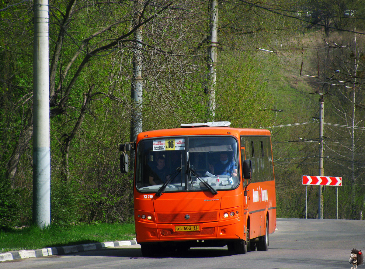 Нижегородская область, ПАЗ-320414-05 "Вектор" (1-2) № 73215