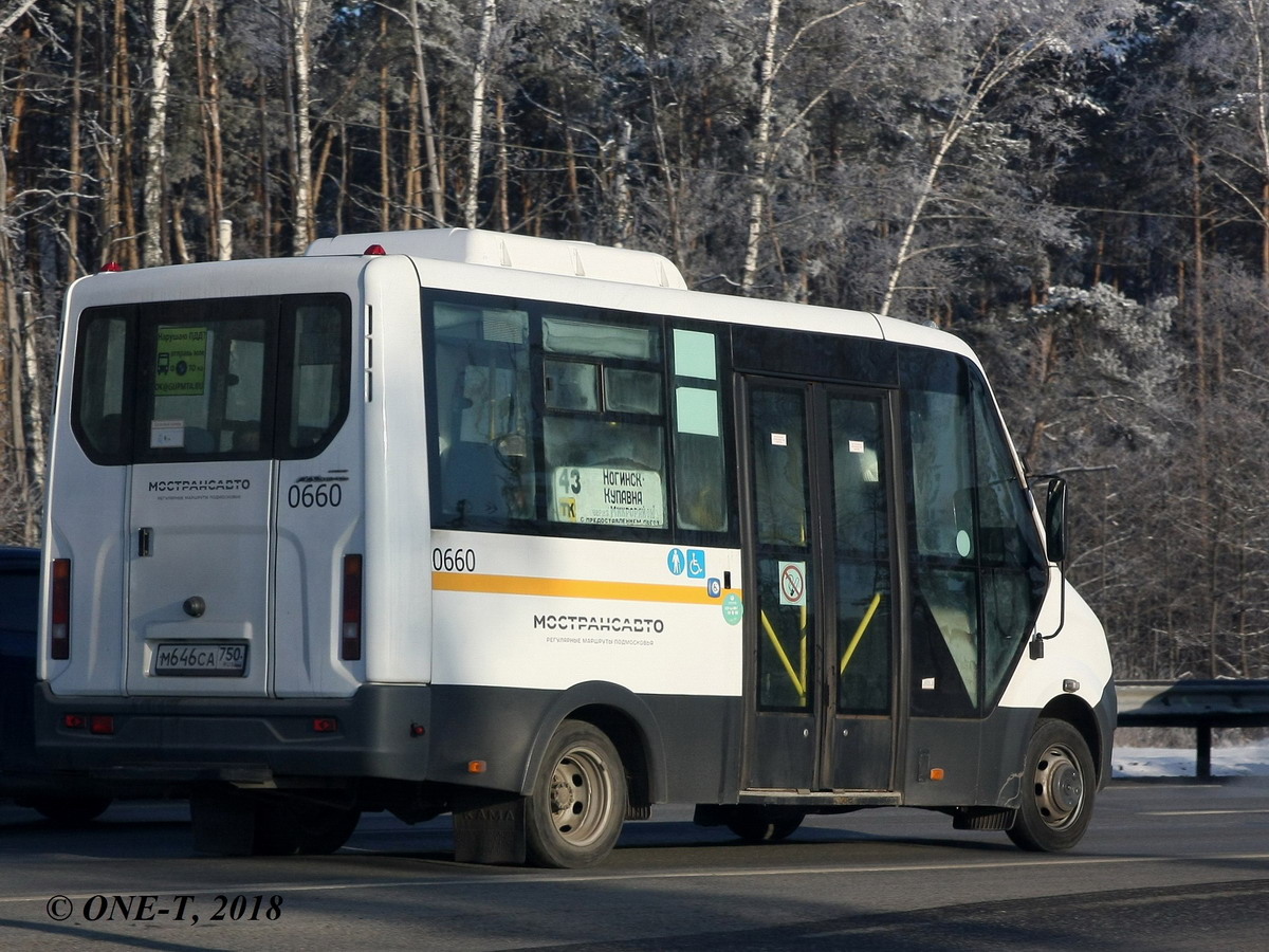 Московская область, Луидор-2250DS (ГАЗ Next) № 0660