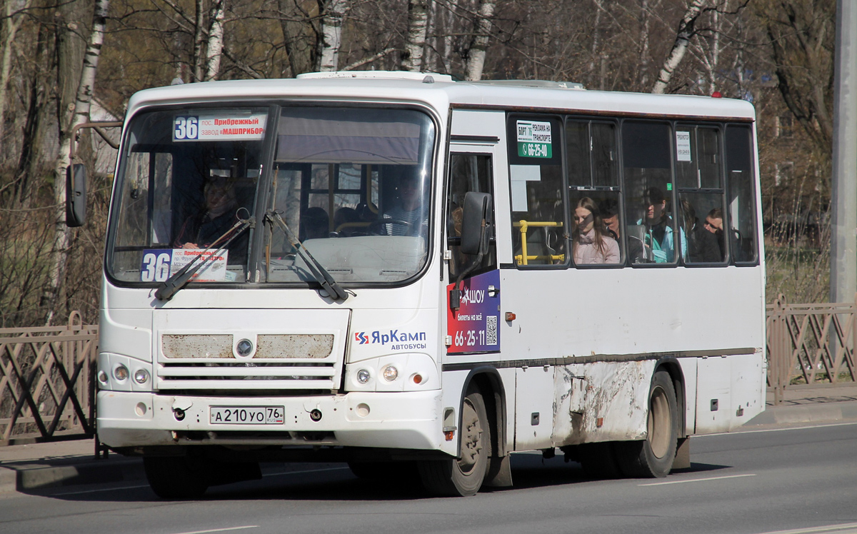 Ярославская область, ПАЗ-320402-05 № А 210 УО 76