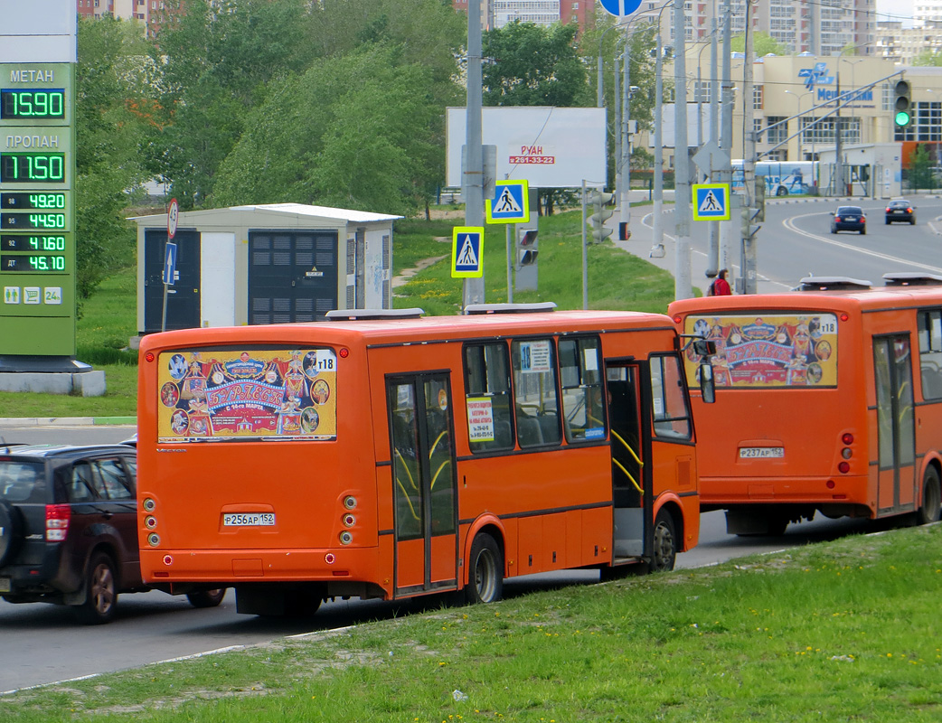 Нижегородская область, ПАЗ-320414-05 "Вектор" № Р 256 АР 152