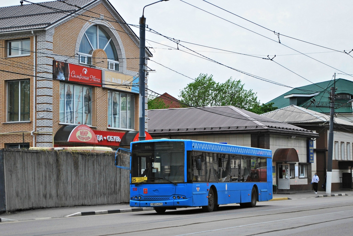 Тульская область, Волжанин-5270-20-06 "СитиРитм-12" № 530