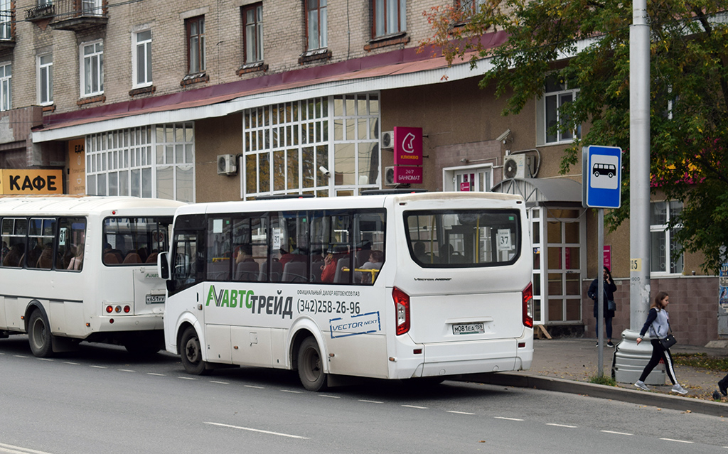 Пермский край, ПАЗ-4234-04 № К 651 УУ 159; Пермский край, ПАЗ-320435-04 "Vector Next" № М 081 ЕА 159