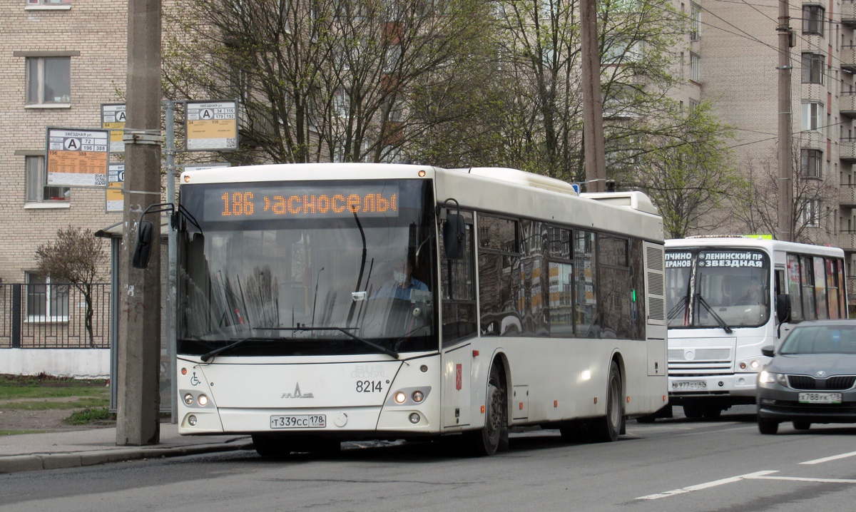 Санкт-Петербург, МАЗ-203.085 № 8214