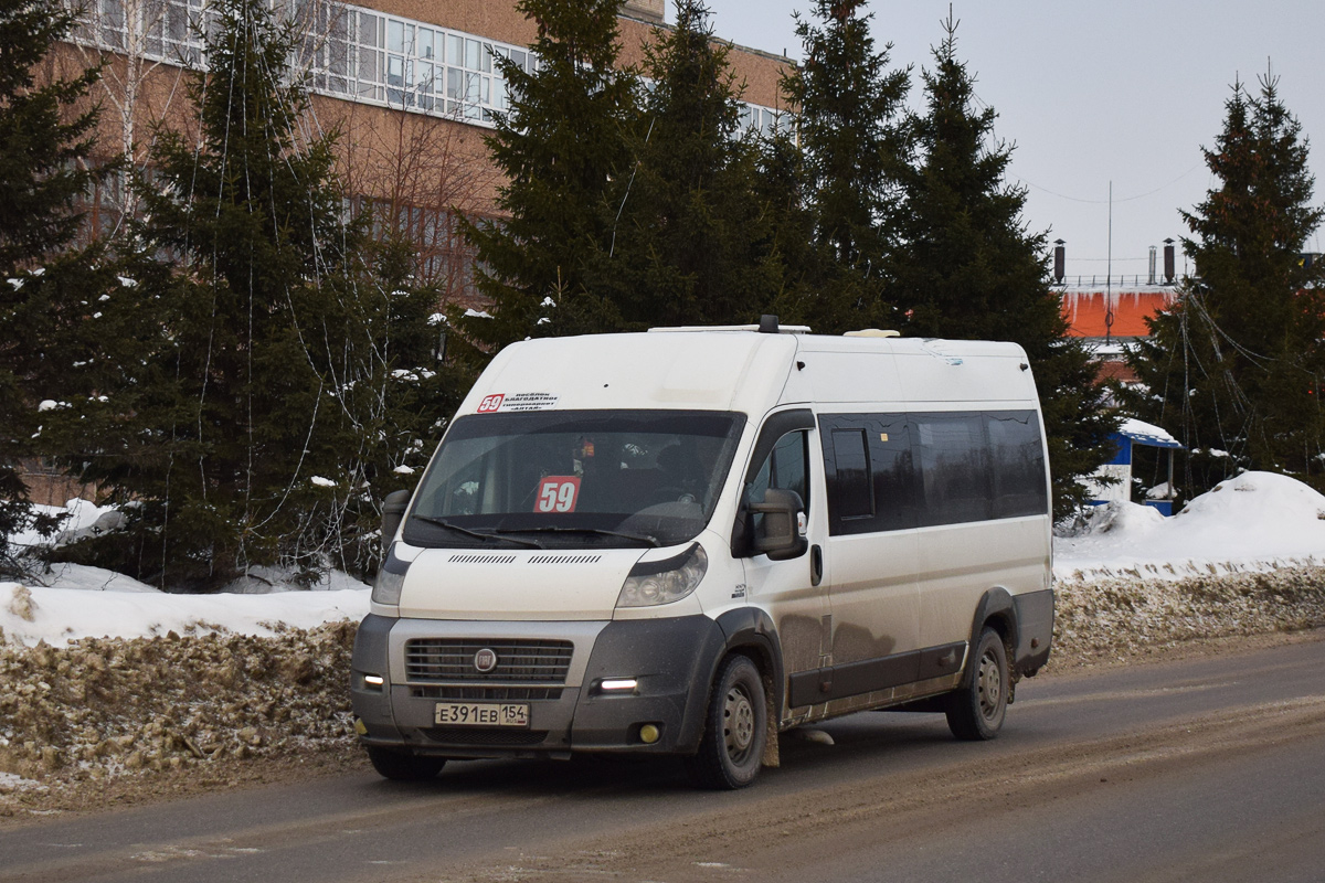 Алтайский край, IRITO-Ducato L4H2 (Z8P) № Е 391 ЕВ 154