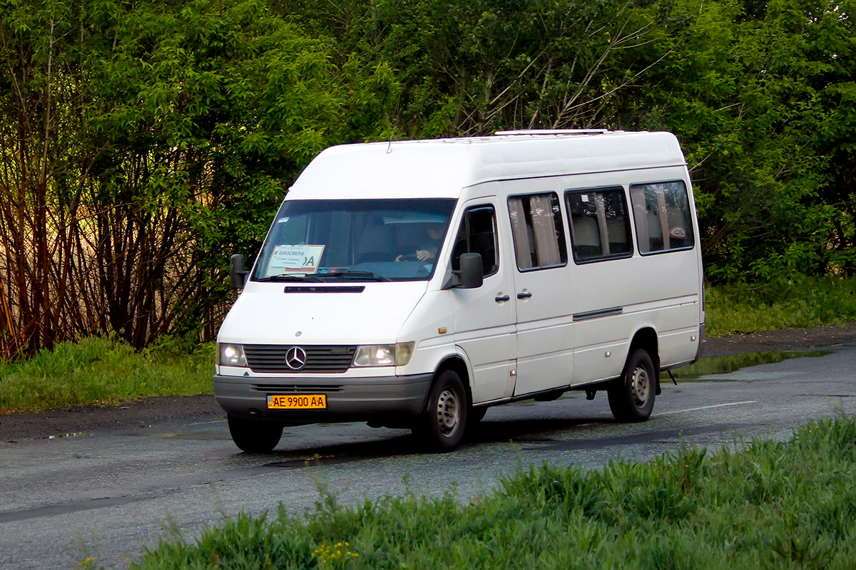 Днепропетровская область, Mercedes-Benz Sprinter W903 312D № AE 9900 AA