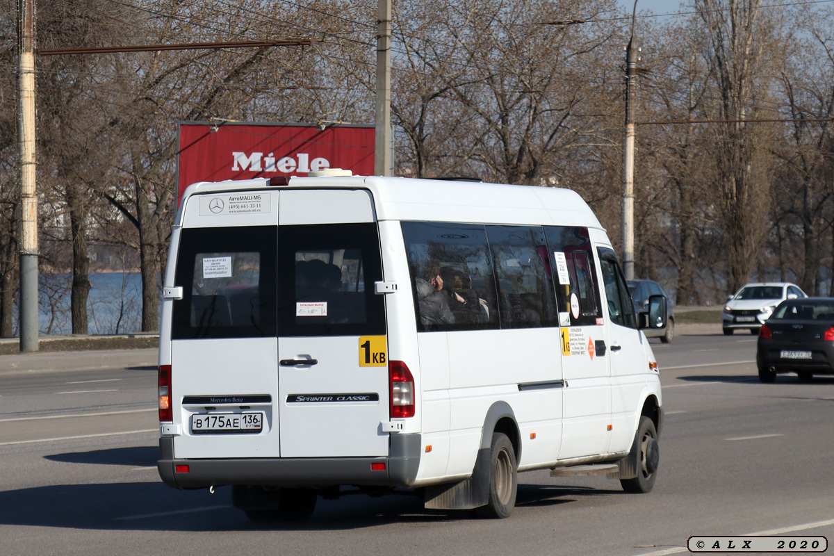 Воронежская область, Луидор-223203 (MB Sprinter Classic) № В 175 АЕ 136