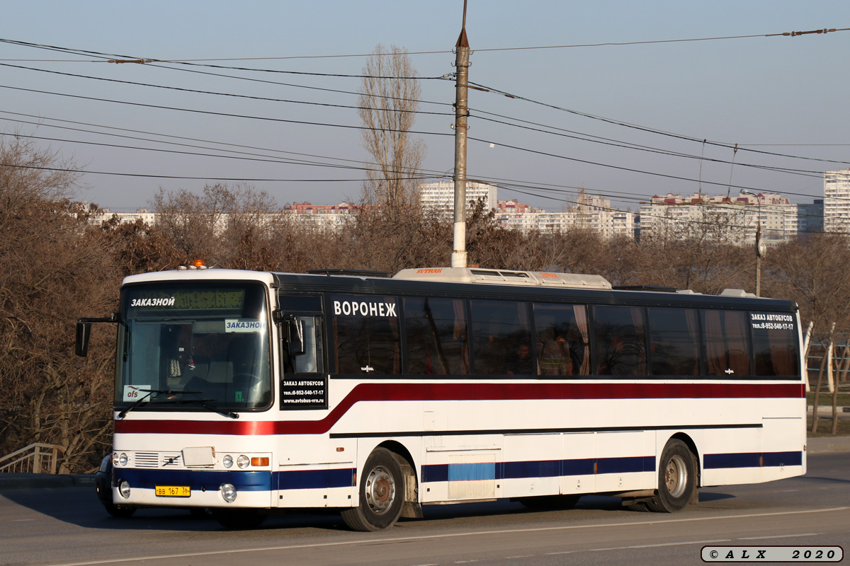 Воронежская область, Van Hool T8 Alizée 260NL № ВВ 167 36