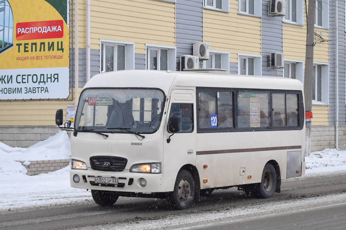 Алтайский край, Hyundai County SWB (РЗГА) № О 802 ОР 22