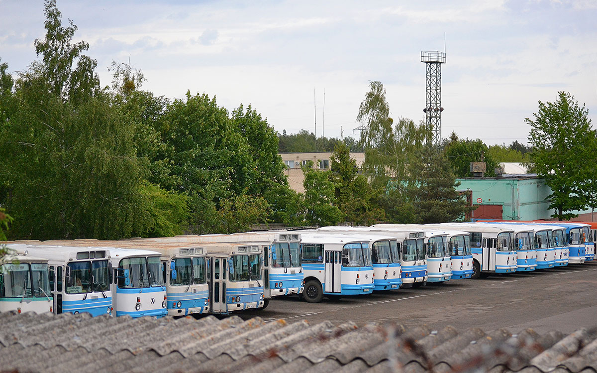 Ровненская область, ЛАЗ-42021 № BK 8647 AT; Ровненская область, ЛАЗ-42021 № BK 8641 AT; Ровненская область — Разные фотографии