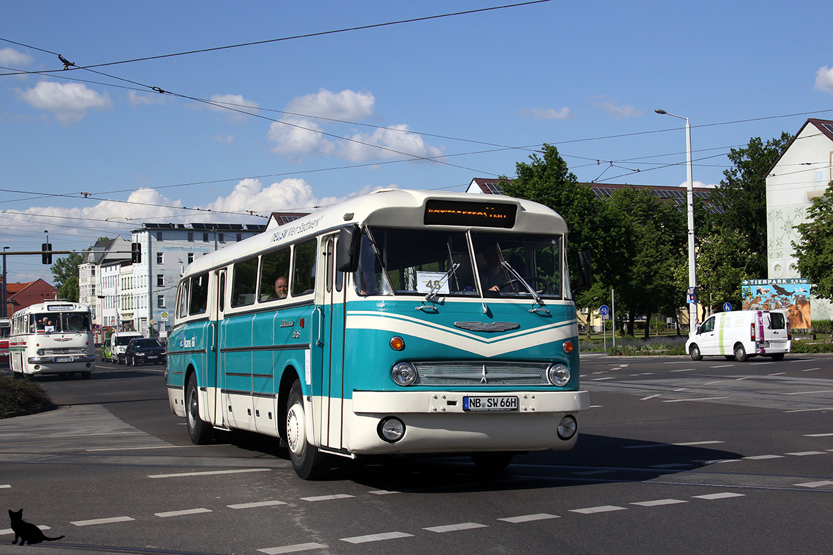Mecklenburg-Vorpommern, Ikarus  66.62 sz.: NB-SW 66H; Brandenburg — 6. Ikarus-Bus-Treffen in Deutschland & Tag der offenen Tür  — Cottbus, 18.05.2019