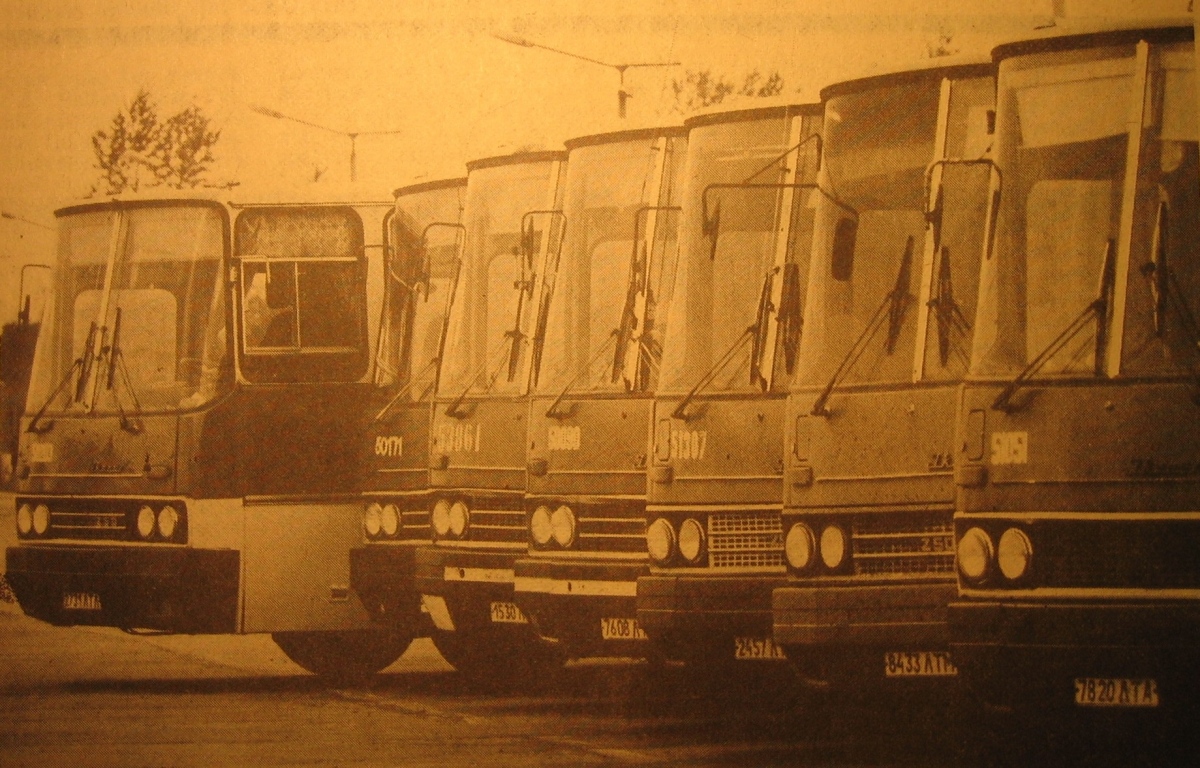 Латвия, Ikarus 250.58 № 2731 ЛТЛ; Латвия, Ikarus 250 № 50171; Латвия, Ikarus 250.58 № 53861; Латвия, Ikarus 250.58 № 50090; Латвия, Ikarus 250.59 № 51307; Латвия, Ikarus 250.59 № 8433 ЛТМ; Латвия, Ikarus 256.54 № 51051