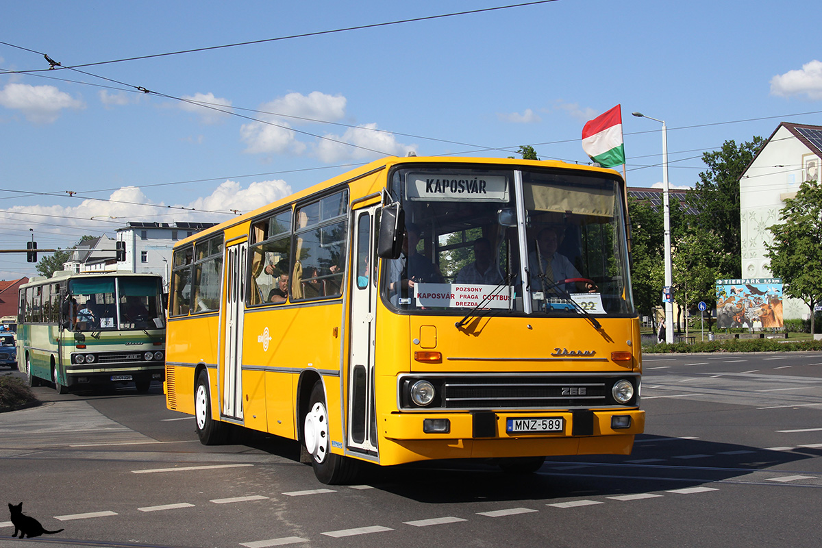 Венгрия, Ikarus 266.25 № MNZ-589; Бранденбург — 6. Ikarus-Bus-Treffen in Deutschland & Tag der offenen Tür  — Cottbus, 18.05.2019