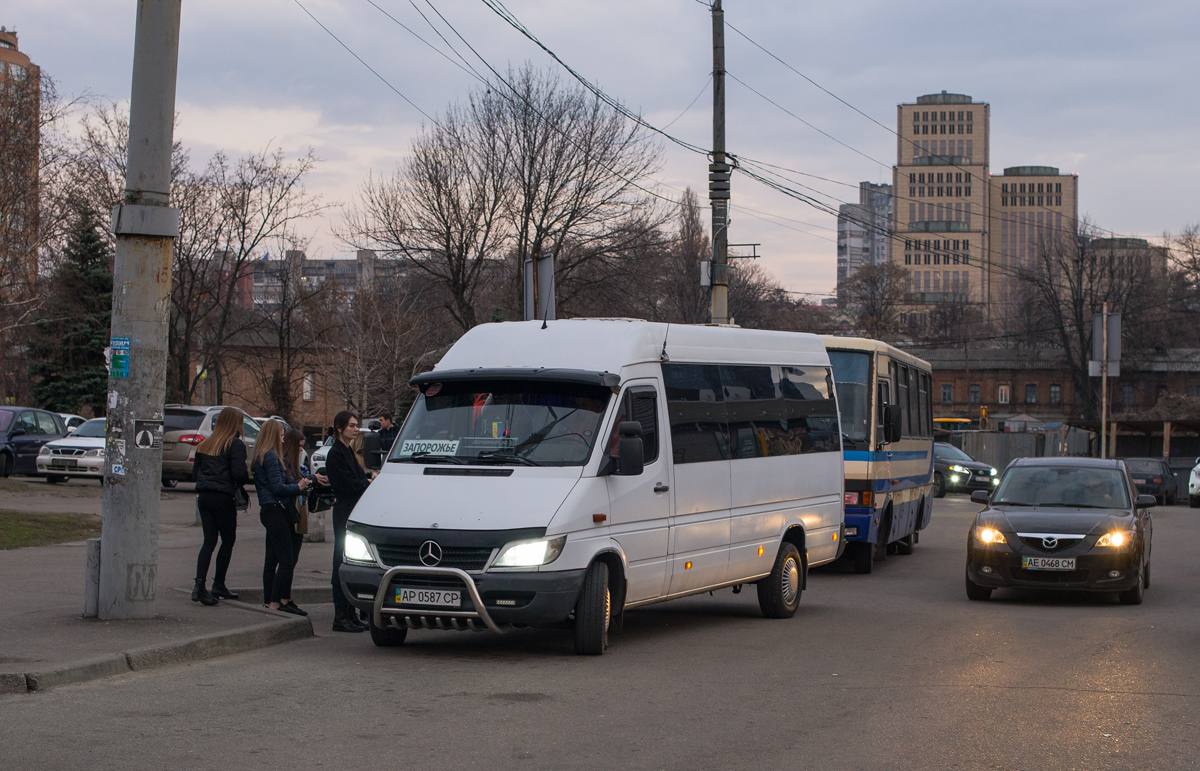 Запорожская область, Mercedes-Benz Sprinter W903 312D № AP 0587 CP