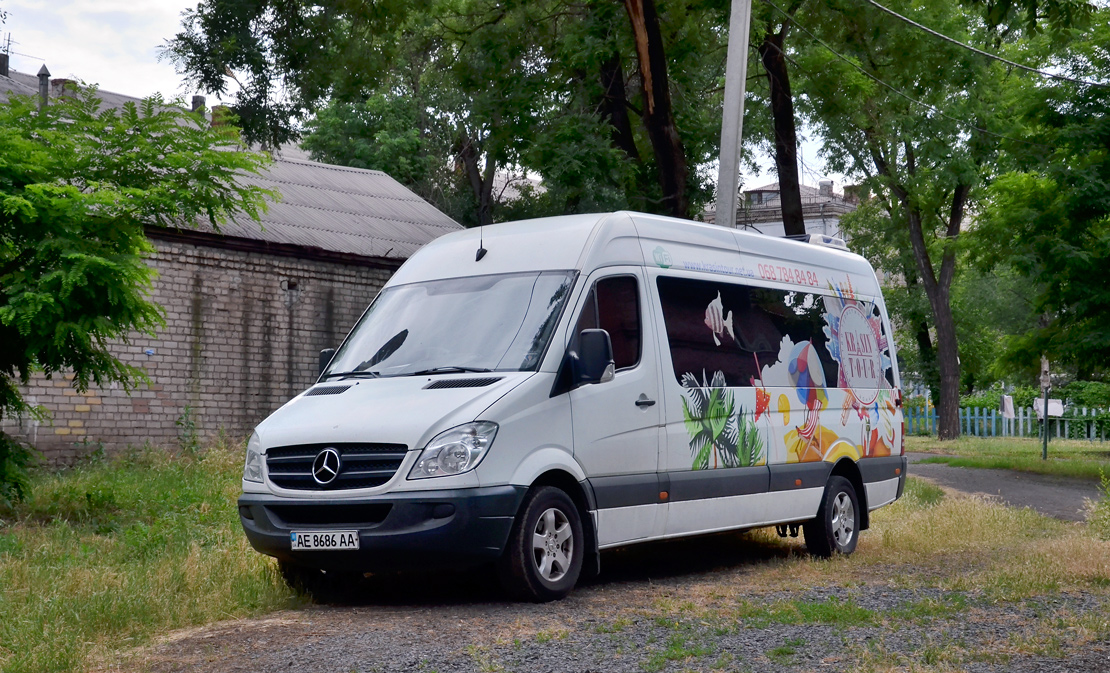 Днепропетровская область, Mercedes-Benz Sprinter W906 311CDI № AE 8686 AA