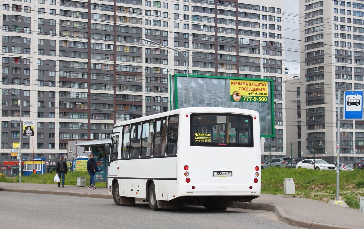 Ленинградская область, ПАЗ-320402-05 "Вектор" № В 556 ХР 47