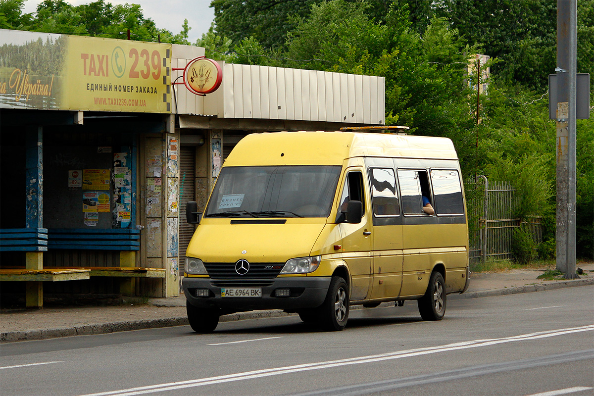 Днепропетровская область, Mercedes-Benz Sprinter W903 313CDI № AE 6964 BK