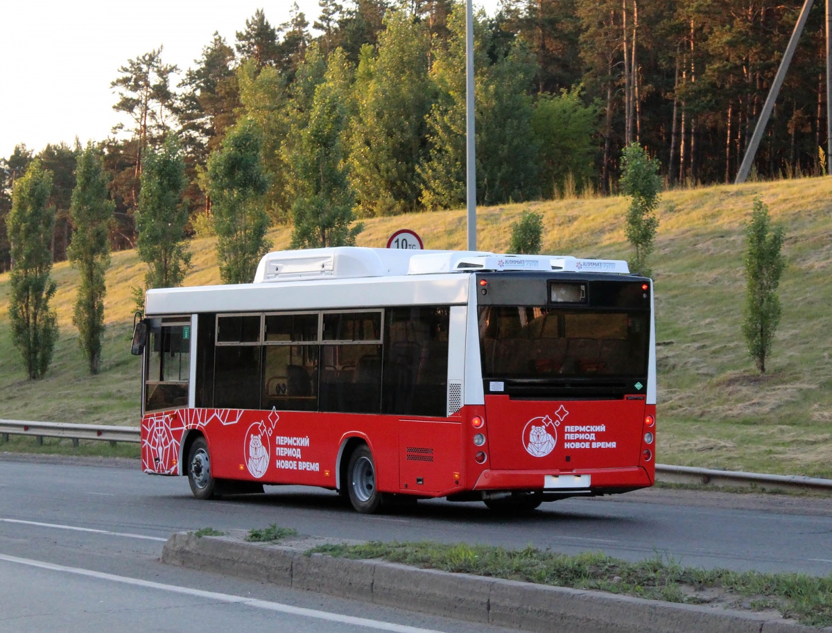80 автобус пермь. Lotos 206 Пермь. Lotos-206 автобус. Автобус Лотос 206 Пермь. МАЗ 206 Пермь.