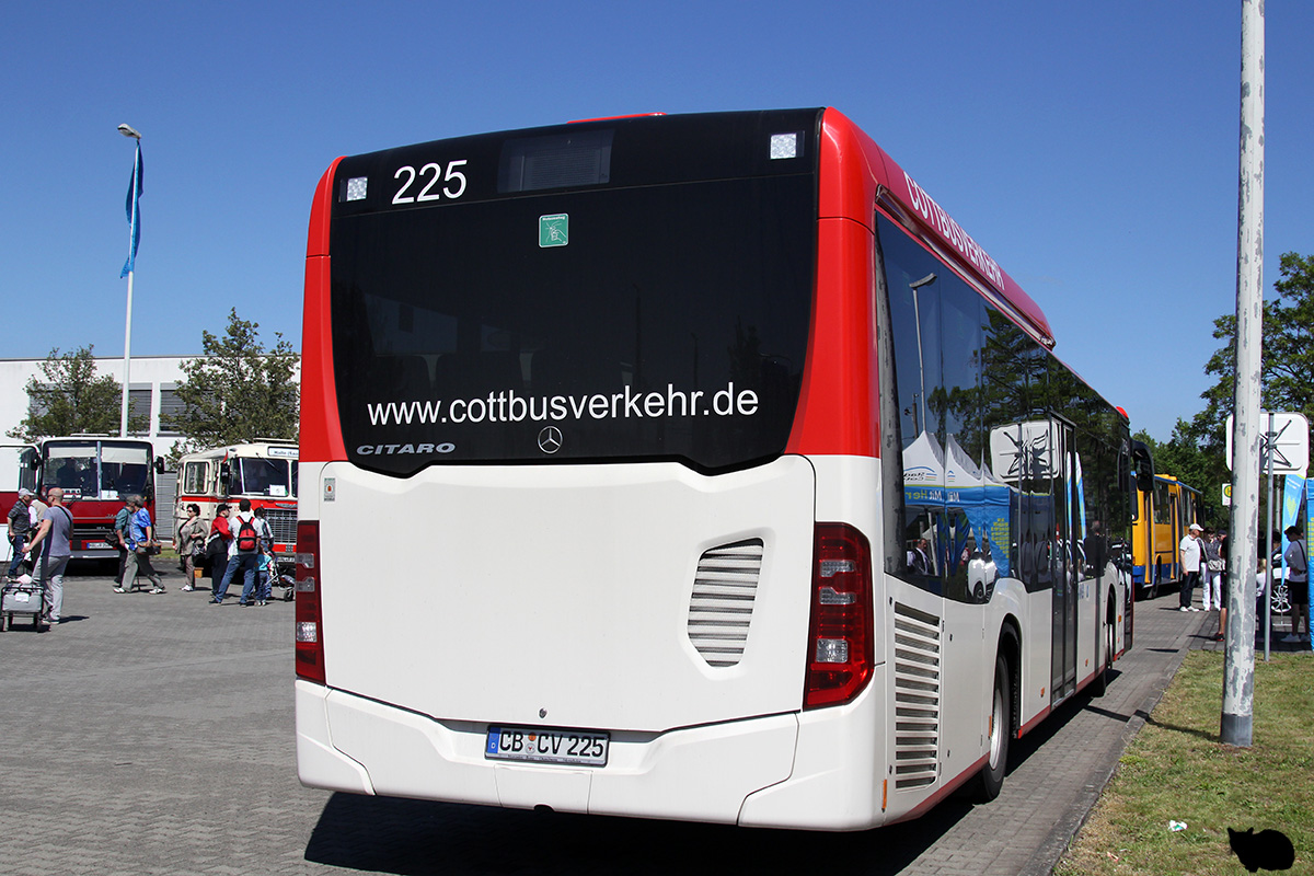 Brandenburg, Mercedes-Benz Citaro C2 LE Nr 225; Brandenburg — 6. Ikarus-Bus-Treffen in Deutschland & Tag der offenen Tür  — Cottbus, 18.05.2019