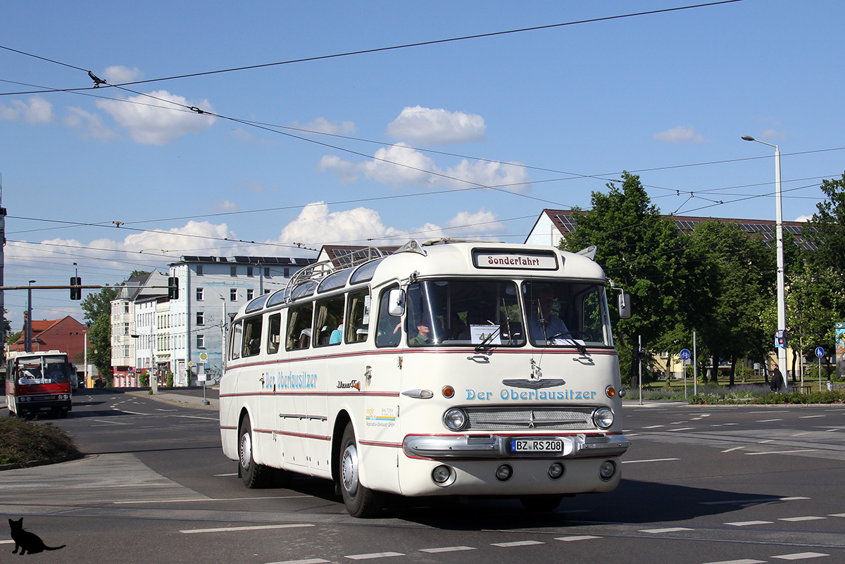 Саксония, Ikarus  55.62 № 208; Бранденбург — 6. Ikarus-Bus-Treffen in Deutschland & Tag der offenen Tür  — Cottbus, 18.05.2019
