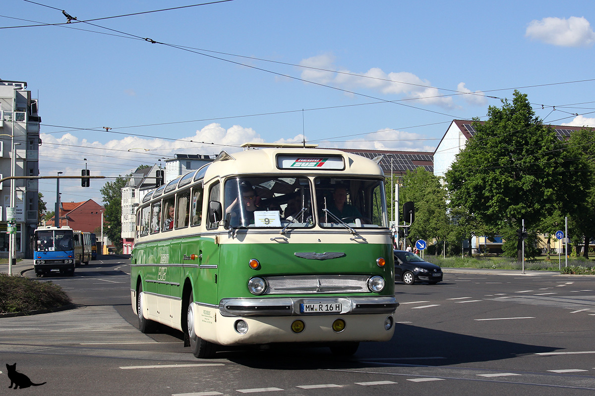 Saxony, Ikarus  55.51 # 2160; Brandenburg — 6. Ikarus-Bus-Treffen in Deutschland & Tag der offenen Tür  — Cottbus, 18.05.2019