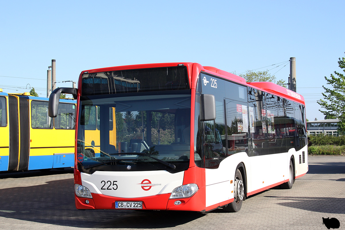 Brandenburg, Mercedes-Benz Citaro C2 LE Nr. 225; Brandenburg — 6. Ikarus-Bus-Treffen in Deutschland & Tag der offenen Tür  — Cottbus, 18.05.2019