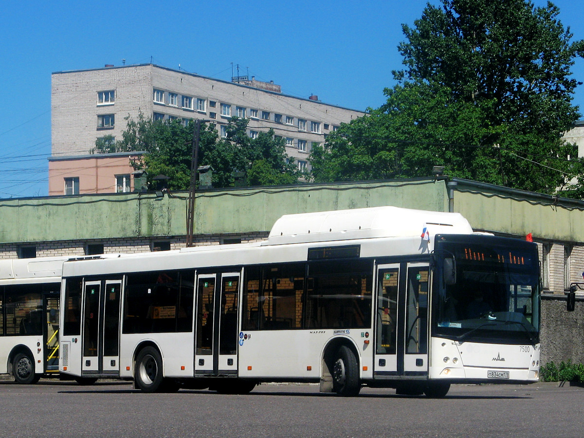 Санкт-Петербург, МАЗ-203.965 № 7500